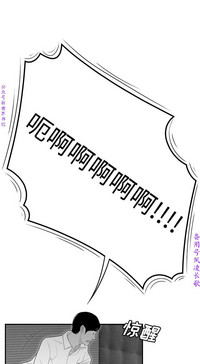 第333頁圖