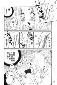 第113頁圖