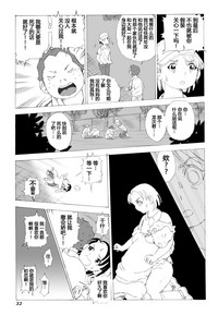 第33页图