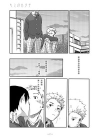 第29頁圖