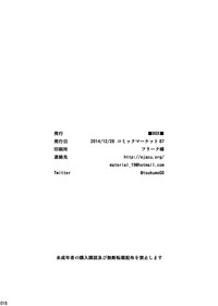第17页图