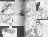 第65頁圖