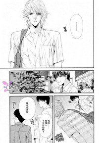 第41頁圖