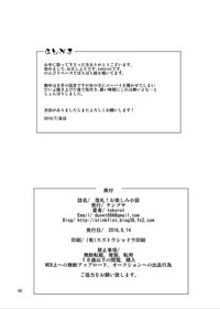 第29頁圖