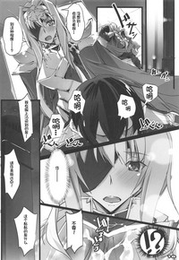 第17页图