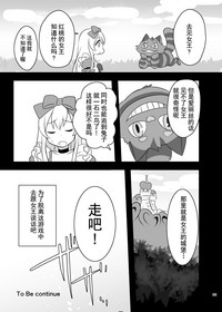 第33页图