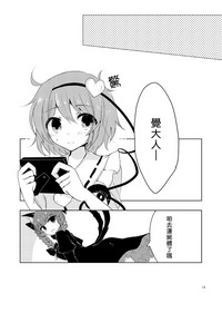 第13页图