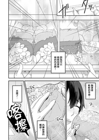 第17页图