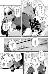 第17页图