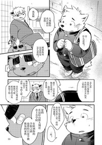 第53页图