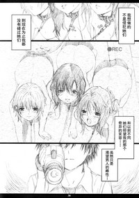 第29页图