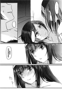 第17页图