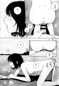 第185頁圖