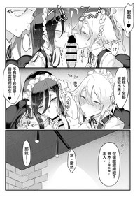 第17页图