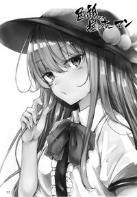 第17页图