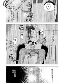 第133页图
