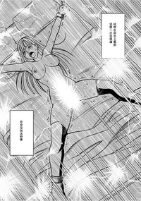 第237页图