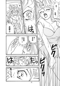 第21頁圖