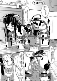 第17页图