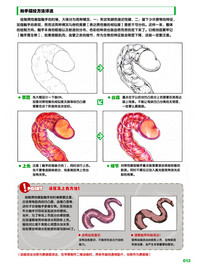 第13頁圖