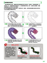 第17頁圖