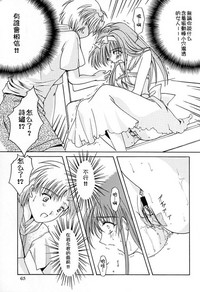 第61頁圖
