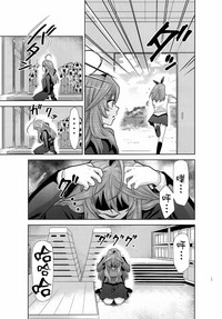 第17页图