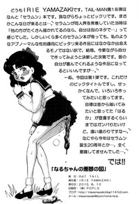 第33頁圖