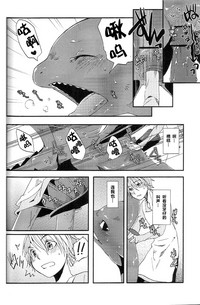 第29頁圖