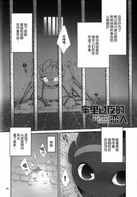 第25頁圖