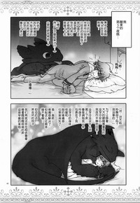 第41頁圖