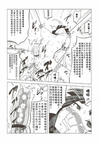 第17頁圖