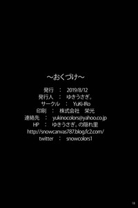 第17页图