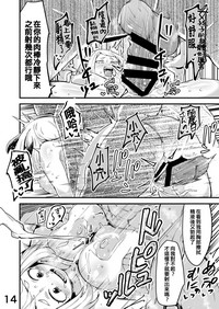 第13页图