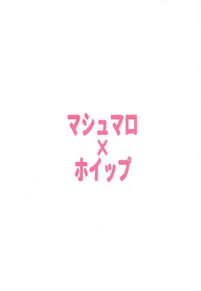 第21頁圖