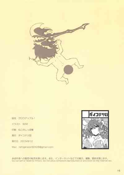 第17页图