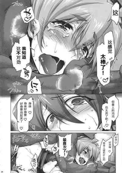 第33頁圖