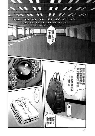 第41頁圖