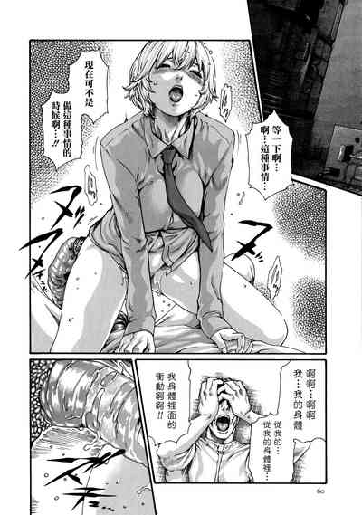 第61頁圖