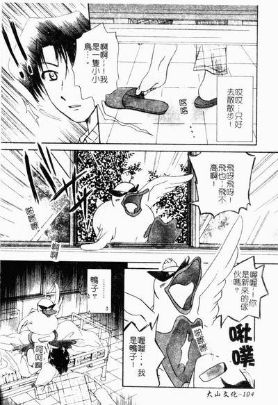 第105頁圖