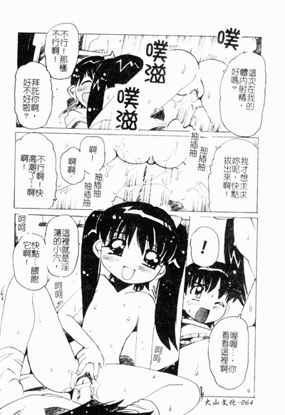 第65頁圖