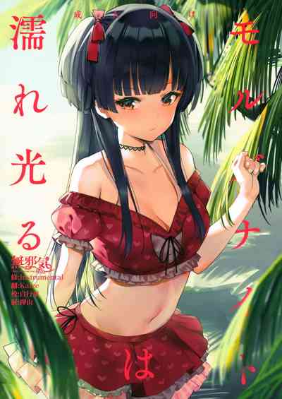 第1頁圖
