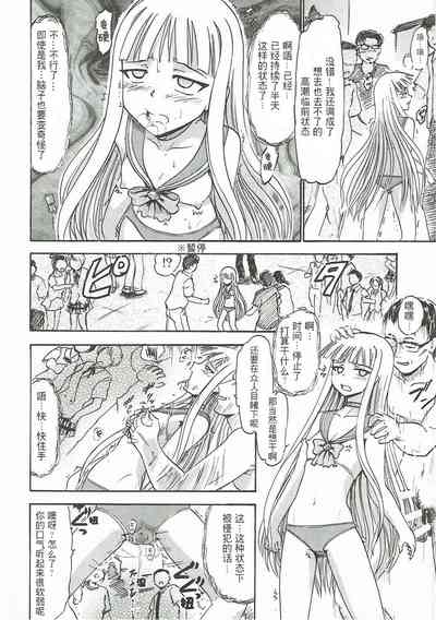第17页图