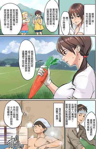 第33頁圖