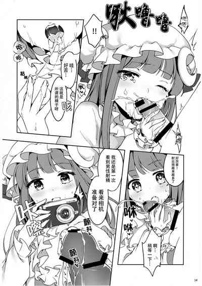 第13页图
