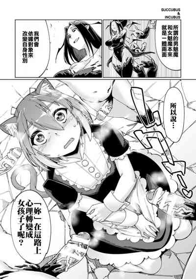 第17页图