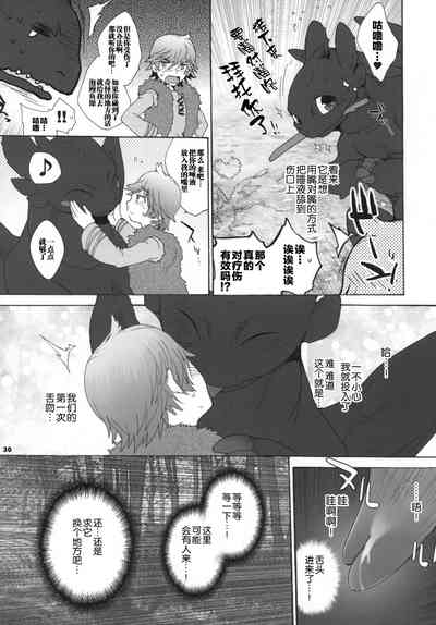 第29页图