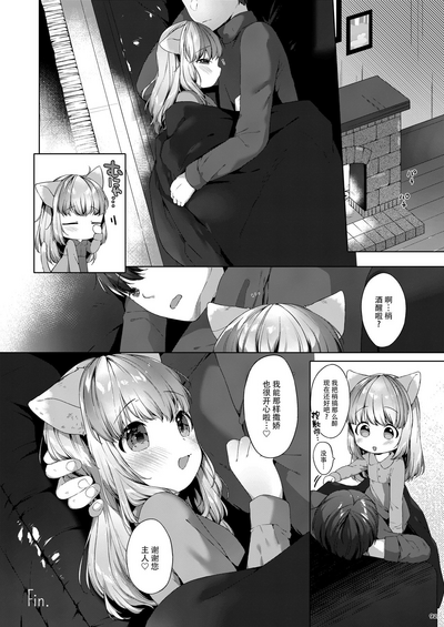 第21頁圖