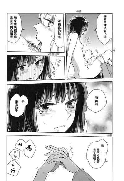 第17页图
