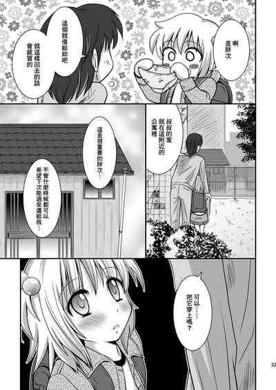 第33頁圖